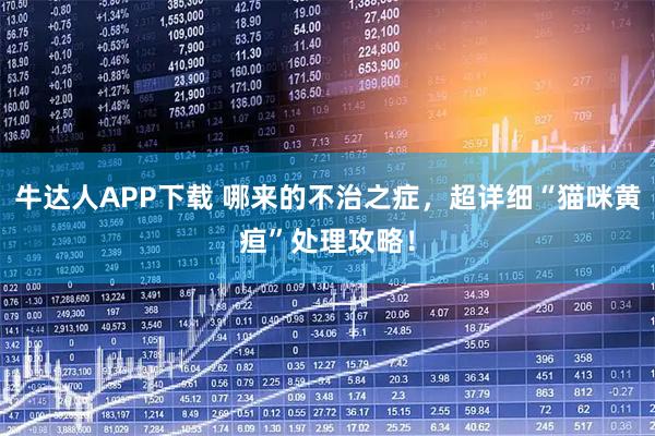 牛达人APP下载 哪来的不治之症，超详细“猫咪黄疸”处理攻略！