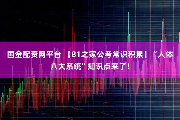 国金配资网平台 【81之家公考常识积累】“人体八大系统”知识点来了！